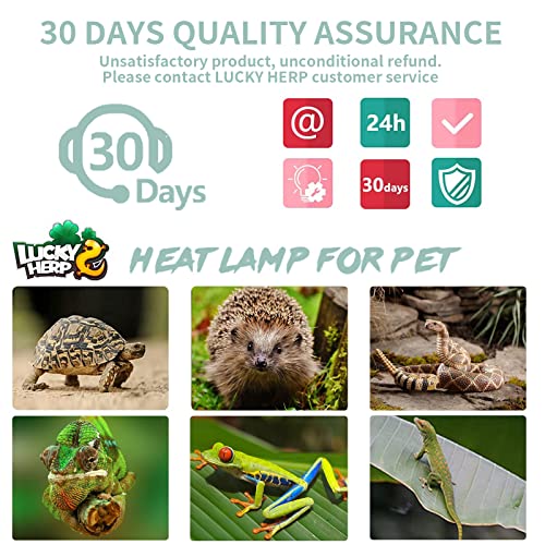 LUCKY HERP 4 Pack 25W UVA UVB Reptile Light Bulbs, Heat Lamp Bulbs for Reptiles and Amphibians, Basking Light Bulb for Turtle, Bearded Dragon, Lizard Heating Use - size: 25*4