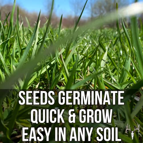 Crooked Bend Memas Moo Mix, 50LB Bulk, Farm Pasture Seed Blend for Horse, Cattle, Pig, Goat, Chicken, Duck, Sheep & Livestock, Grow Alfalfa & Perennial Grasses Fields, Graze & Cold Tolerant - size: 50 pounds