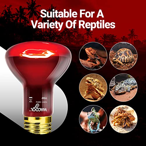 WACOOL 4 Pack Reptile Heat Lamp Bulbs,75W Infrared Basking Spot Light for Reptiles & Amphibians, Red Heat Lamp Bulb for Bearded Dragon Gecko Turtle Lizard (75, Watts)… - style: 75W-4 PACK