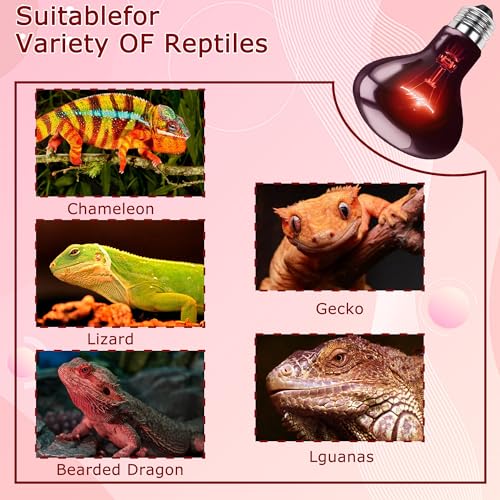 75W Infrared Red Basking Spot Light Bulb – Promotes Growth & Vitality, Heat Lamp for Reptiles & Amphibians, Bearded Dragons, Turtles, Snakes & Chicks, Terrarium & Brooder Heater - color: Red Infrared, size: 75W-3.15″