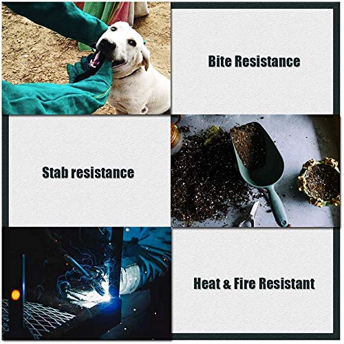 AOWPFVV Long Sleeve Thick Leather Animal Handling Glove Anti Scratch Protective Gloves for Training Dog Cat Bird Snake Parrot Lizard Wild Animals Reptiles,Bite Resistant Gloves - color: Light Green Size Large 23.6in