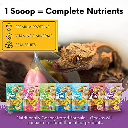 Gargeer 8oz Complete Crested Gecko Food Diet. Premium Mix, Ready to Use Freshly Made Powder. Unique Formula, Developed & Made in the USA. Enjoy! (Tropical + Insects Protein) - size: 8 Ounce (Pack of 1)
