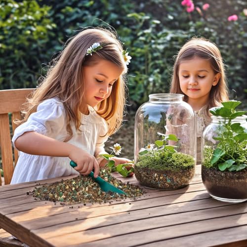 Doter Terrarium Potting Soil Mix 1qt, Custom Made for Terrariums, Perfect for Vibrant Miniature Gardens - size: 1qt
