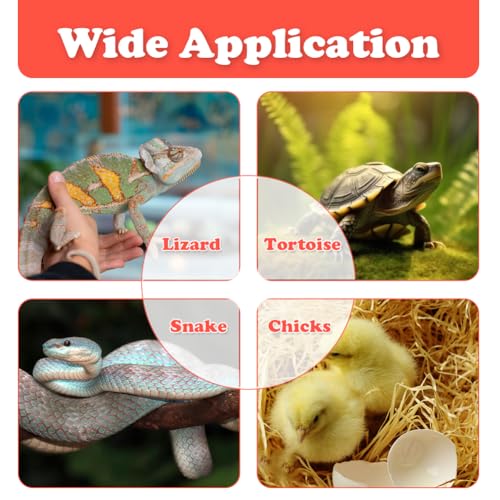 Reptile Heat Lamp Guard Reptile Reptile Light Fixture UVB Reptile Turtle Heating Light Dome Lamp Cap Covers Max 200 Watt with one 25w Bulb for Bearded Dragon Turtle Snakes Frogs Chicks