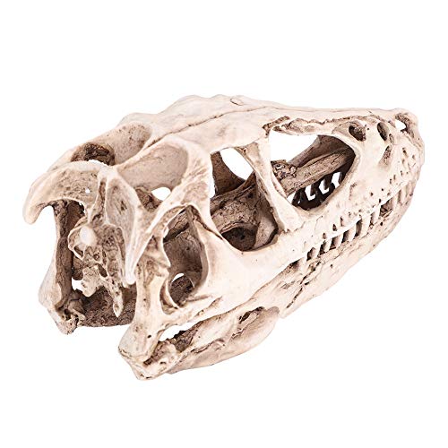 CHICIRIS Resin Dinosaur Skull, Detailed Skeleton Model Statue for Aquarium, Terrarium, Fish Tank Decor ¨C Perfect for Home, Office, Classroom or Aquarium Enthusiasts