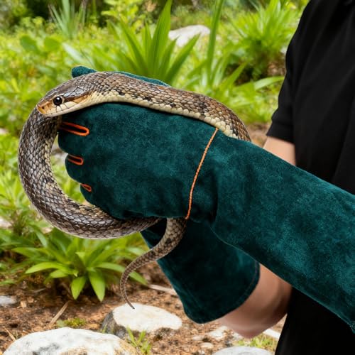 23.6 Inch Cowhide Reptile Handling Gloves, Bite Proof and Puncture Proof Arm Protection for Iguana Snake Falcon