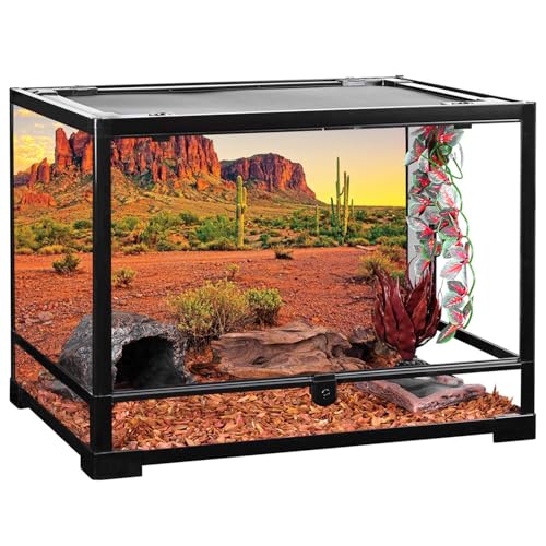 AWERT 30x12 inches Reptile Habitat Background Sky Oasis Mountain Cactus Sun and Desert Terrarium Background Durable Polyester Background - size: 30x12in/75x30cm