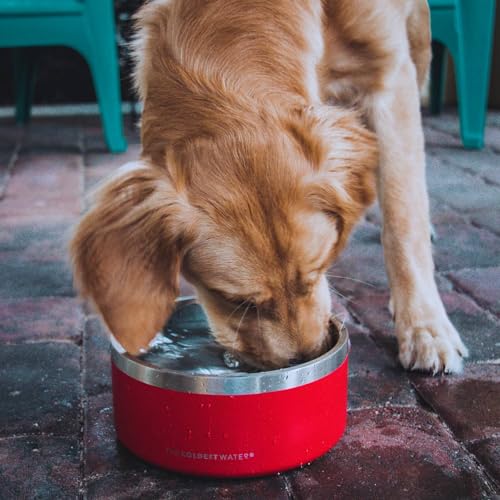 Coldest Dog Bowl - Anti Rust Metal, Non Slip, 3 Layers Insulated Stainless Steel Dog Bowls - Spill Proof & Heavy Duty - Water Bowl for Dogs, Cats & Pets, Dish Washer Safe (100 oz, Cotton Candy Pink) - color: Cotton Candy Pink, size: 100 oz