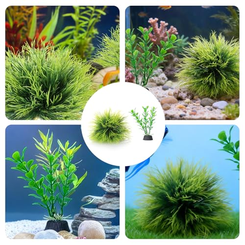 4 Pcs Silk Plants for Fish Tank, Realistic Aquarium Plants Live Decor with Weighted Base, Green Aquascaping Accessories for Betta Tanks, Reptile Terrariums, and Freshwater Setup