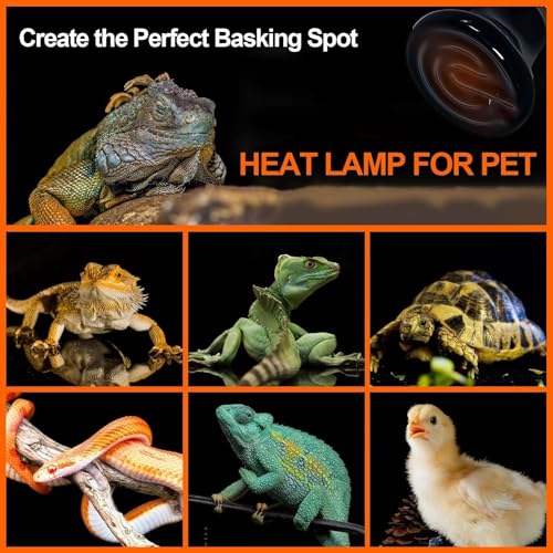 BNOSDM 25W Ceramic Heat Emitter,2 Pack Reptile Heat Lamp Bulbs,Ceramic Heat Lamp,Brooder Coop Heater for Amphibian Reptile Turtle Lizard Chicken - color: Pack of 2/Black, size: 25 Watts
