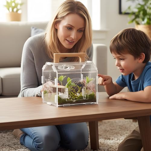 Acrylic Jumping Spider Habitat, Reptile Terrarium Easy Assembly, Bug Enclosure, Praying Mantis Habitat, Frog Enclosure (Small-6.3 * 4.7 * 6.7in) - size: Small-6.3*4.7*6.7in