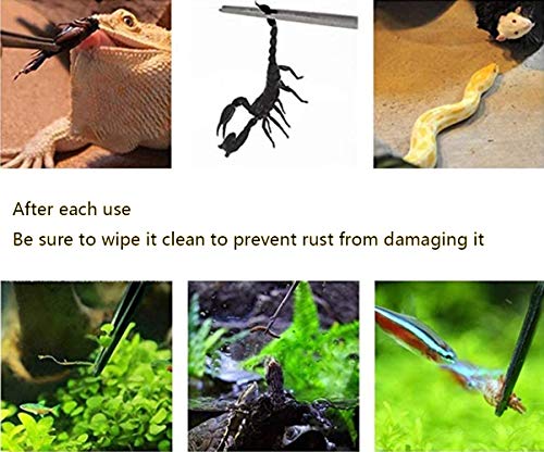 2Pcs 10.5" Reptile Stainless Steel Long Tweezers Feeding Tongs, Lizards Snake Gecko and Tarantula Supplies, Terrariums Aquarium Fish Tank Tools - 10.5" Black 2Pcs