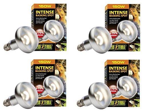 Exo Terra Sun-Glo Basking Infrared Spot Lamp, 150-Watt/120-Volt (4 Pack)
