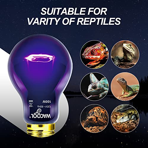 WACOOL 4Pack Reptile Night Heat Lamp, 100W Night Heat Lamp for Reptiles & Amphibians,Simulate Nature Moonlight Purple Night Light for Bearded Dragon Lizard Snake Crab…