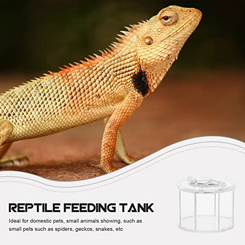 BESPORTBLE Transparent Acrylic Reptile Breeding Box Crawling Pet Holder Ventilation for Easy Maintenance Terrarium for Turtles Snakes Spiders and Crabs