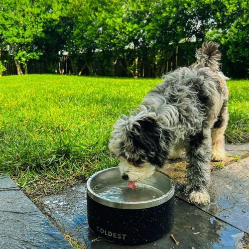 Coldest Dog Bowl - Anti Rust Metal, Non Slip, 3 Layers Insulated Stainless Steel Dog Bowls - Spill Proof & Heavy Duty - Water Bowl for Dogs, Cats & Pets, Dish Washer Safe (64 oz,Cotton Candy Pink) - color: Cotton Candy Pink, size: 64 oz