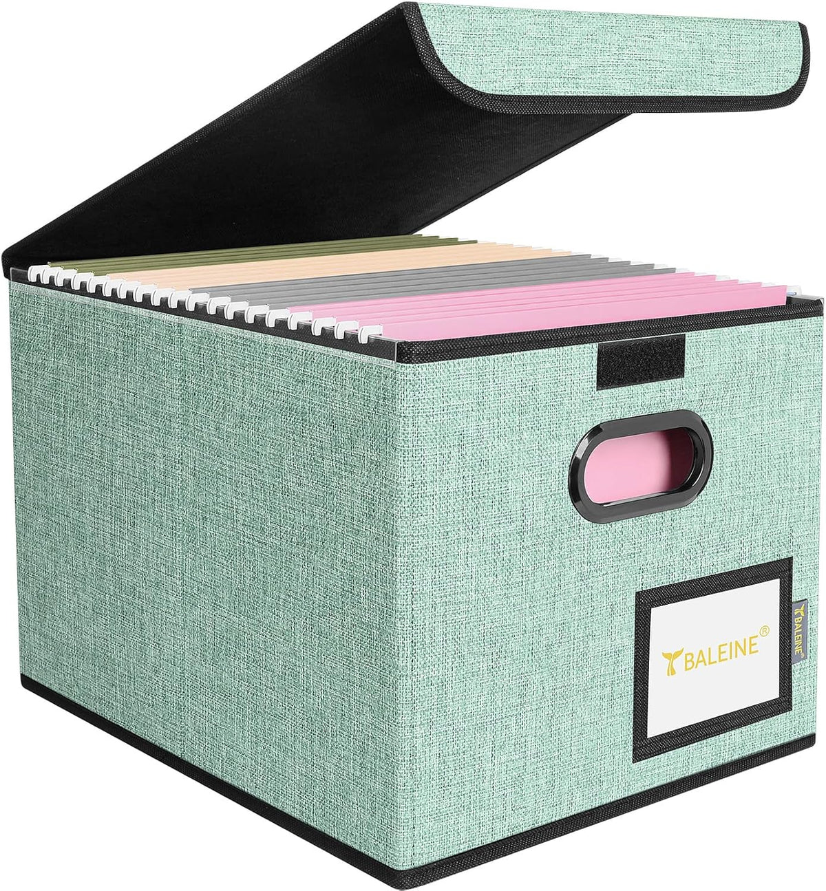 BALEINE File Organizer Box with Lid, Collapsible File Folder Organizer with Plastic Slide, Hanging File Folder Box for Office Document Storage (1 Pack, Black)