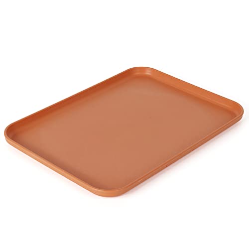 Reptile Large Water Dish, Tortoises Food Bowl - M (11.8 * 8.6 * 0.6) - size: M