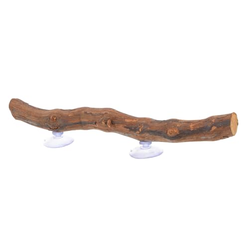 Reptile Climbing Branch Suction Cups Natural Grapevine Wood Lizard Toy for Terrarium Decor for Bearded Dragons and Geckos 12-inch Length