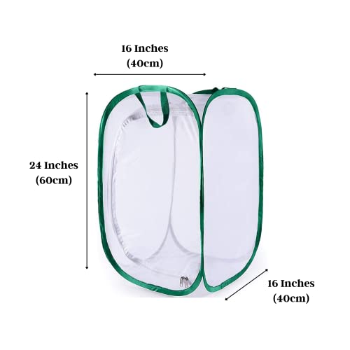 SunGrow Foldable Butterfly Habitat, 24" Butterfly Cage for Caterpillars, Create Farm, Enclosure for Breeding Soldier Fly, Ladybug, Dragonfly, or Housefly for Chicken and Reptile Feed, Green
