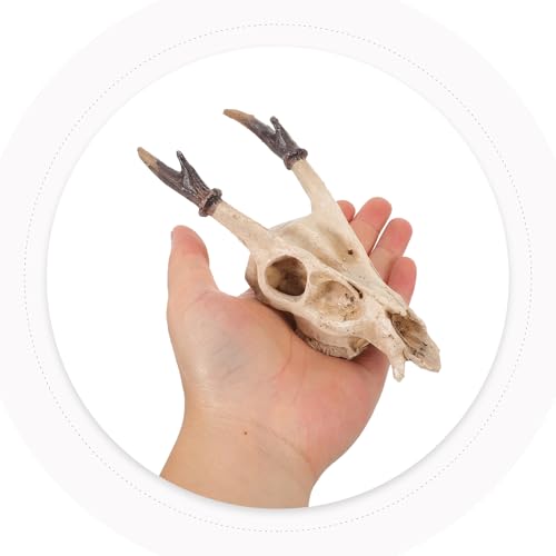 KALLORY Reptile Terrarium Skull Hideout Resin Habitat Decor Medium Size Snake Tank Decoration for Bearded Dragon Lizard Shelter in Reptile Enclosure