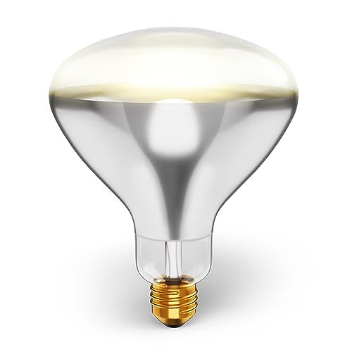 KOR 250 Watt R40 Clear Heat Lamp Light Bulb, Incandescent Reflector, Head Lamp, Heat Flood Lamp Light Bulb, E26 Standard Medium Screw Base, 120V, 2,000 Hour Rated, 2 Pack - color: Clear