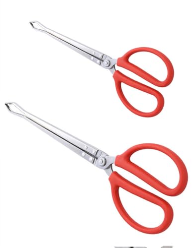 Toasis Stainless Steel Crabbing Tongs for Live Crabs Eels (Curved Tip-2pcs) - style: Curved Tip-2pcs