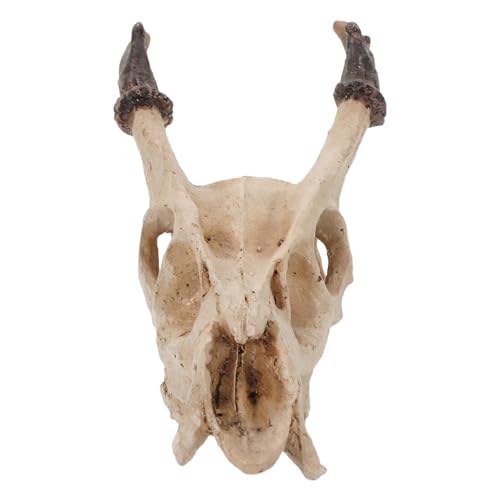 Kichvoe Reptile Skull Hideout Resin Decoration Medium Muntiacus Skull Cave Reptile Habitat Shelter for Lizards Geckos Snakes Amphibians Terrarium