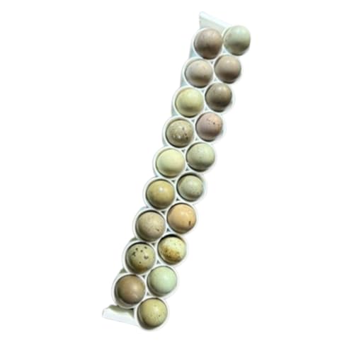 Undique Standard & Button Quail Egg Rails, Rigid Polymer, White for Cimuka/Hatching Time CT-Series Incubators (2)