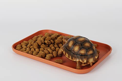 Reptile Large Water Dish, Tortoises Food Bowl - S (9.5 * 6.7 * 0.6) - size: S