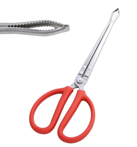 Toasis Stainless Steel Crabbing Tongs for Live Crabs Eels (Curved Tip-2pcs) - style: Curved Tip-2pcs