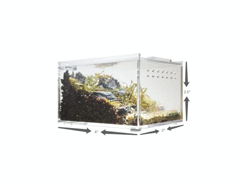 Herpcult Magnetic Acrylic Mini-Flat Enclosure 3 x 4 x 2.5