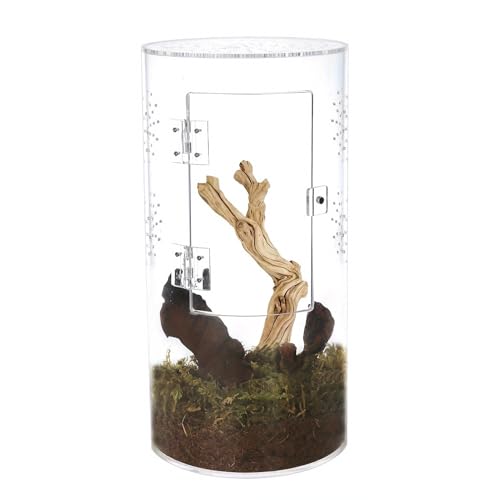 Luocute Tall Arboreal Tarantula Enclosures, Jumping Spider Terrarium Acrylic Reptile Tank 12x6x6 Inch with Front Opening Door, for Lizards Snails and Vertical Climbing Pets