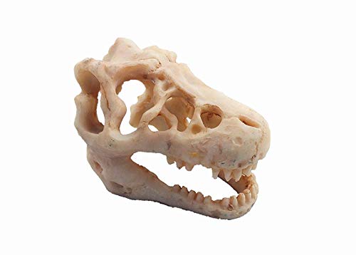 Hewnda Aquarium Decoration Skeleton Hole Resin Artificial Dinosaur Skull Skeleton Ornament - Fish Tank Small Skull Aquarium Decorations cave Landscape pet Reptile House