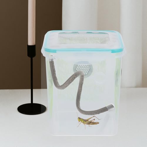 BESPORTBLE Reptile Climbing Branch Vine with Suction Cups and Caps, Artificial Terrarium Plant Decor for Hermit Crabs, Lizards, Turtles, and Snake Habitat, 0.5m Climbing Vine for Reptile Tank