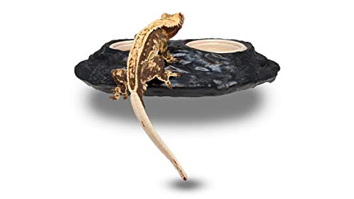 Pangea Ultimate Gecko Ledge - Magnetic Feeder for Crested Geckos | 8.5" x 4.75" x 2.25" Magnetic Gecko Feeder Ledge, Holds 1.5oz Feeding Cups