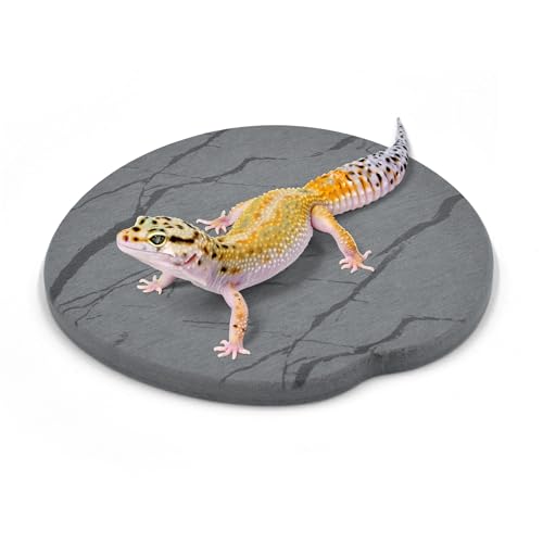 Reptile Basking Platform, Diatomaceous Earth Slate Rock Feeding Dish, Tortoise Bathing Resting Terrace Habitat Accessories for Bearded Dragon Leopard Gecko Snake Lizard Turtle Tank, 6''x6'' - size: 6''x6''