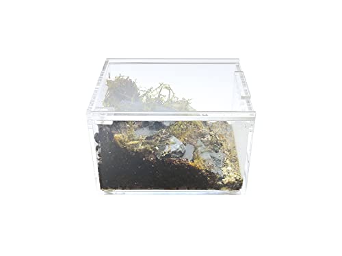 Herpcult Magnetic Acrylic Mini-Flat Enclosure 3 x 4 x 2.5