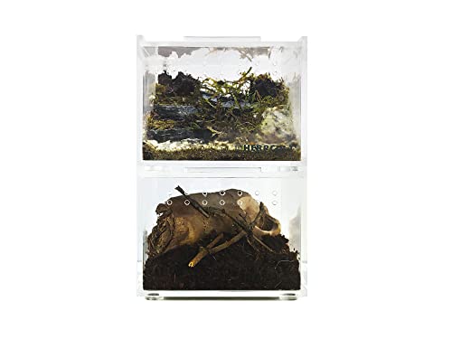 Herpcult Magnetic Acrylic Mini-Flat Enclosure 3 x 4 x 2.5