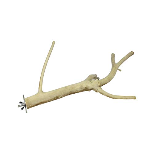 Multi-Branch Perch (Small) - Durable Natural Climbing Branch Perch Cage Accessory - Sugar Gliders, Squirrels, Prairie Dogs, Degus, Marmosets, Monkeys, Parrots, Birds, Rats, Reptiles, Amphibians