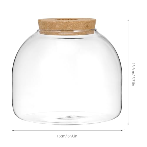 SUPVOX Glass Terrarium with Cork Lid - Glass Plant Terrarium, Plant Jar for Succulents & Small Fish Home & Office