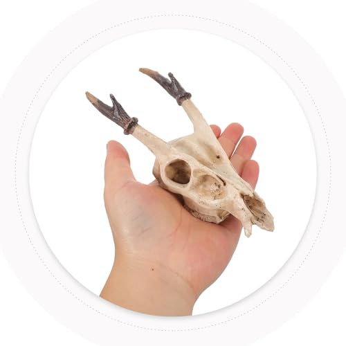 Kichvoe Reptile Skull Hideout Resin Decoration Medium Muntiacus Skull Cave Reptile Habitat Shelter for Lizards Geckos Snakes Amphibians Terrarium