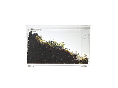 Herpcult Magnetic Acrylic Mini-Flat Enclosure 3 x 4 x 2.5