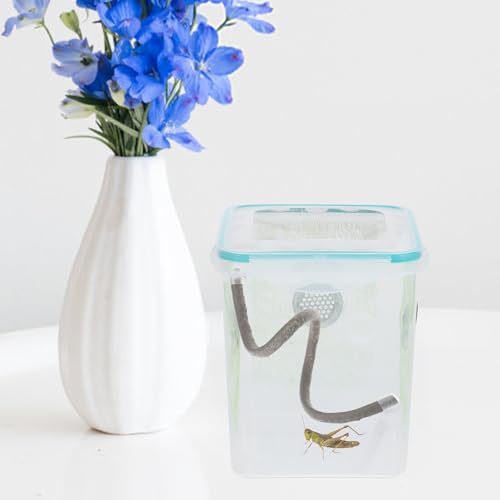 BESPORTBLE Reptile Climbing Branch Vine with Suction Cups and Caps, Artificial Terrarium Plant Decor for Hermit Crabs, Lizards, Turtles, and Snake Habitat, 0.5m Climbing Vine for Reptile Tank