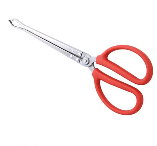 Toasis Stainless Steel Crabbing Tongs for Live Crabs Eels (Curved Tip) - style: Curved Tip