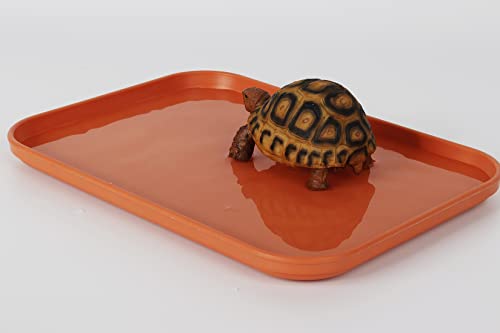 Reptile Large Water Dish, Tortoises Food Bowl - L (14.9 * 10.6 * 0.6) - size: L