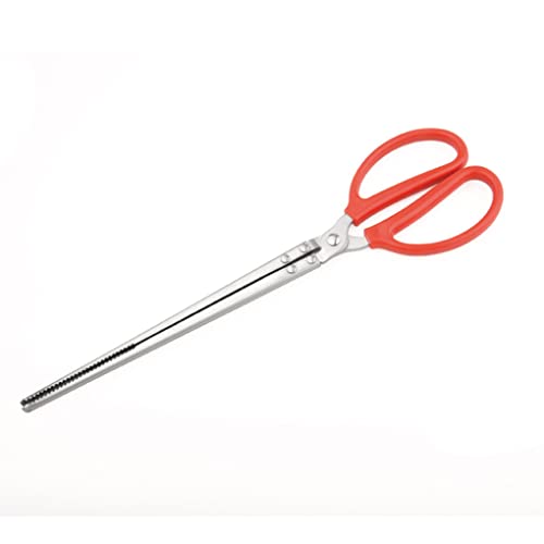 Toasis Stainless Steel Crabbing Tongs for Live Crabs Eels (Straight Tip) - style: Straight Tip
