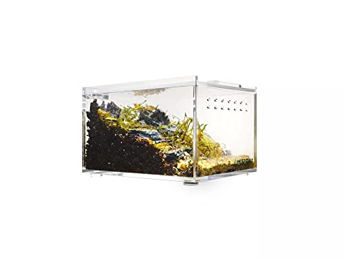 Herpcult Magnetic Acrylic Mini-Flat Enclosure 3 x 4 x 2.5