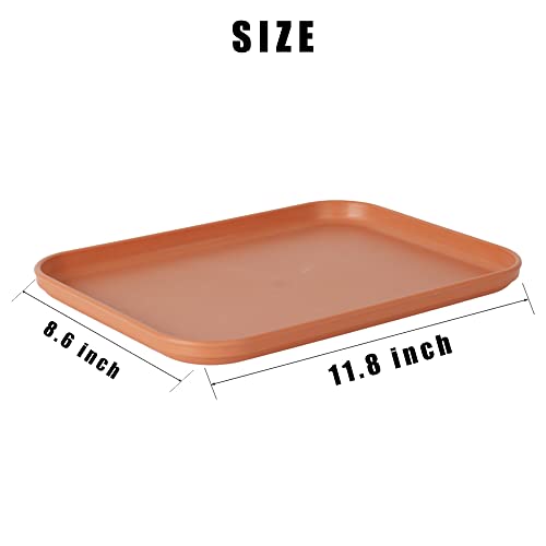 Reptile Large Water Dish, Tortoises Food Bowl - M (11.8 * 8.6 * 0.6) - size: M