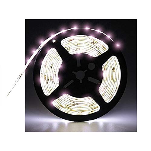 Water-Resistance IP65, 12V Waterproof Flexible LED Strip Light, 16.4ft/5m Cuttable LED Light Strips, 300 Units 3528 LEDs Lighting String, LED Tape(White) Power Adapter not Included - color: 1*16.4ft 3528 Cold White